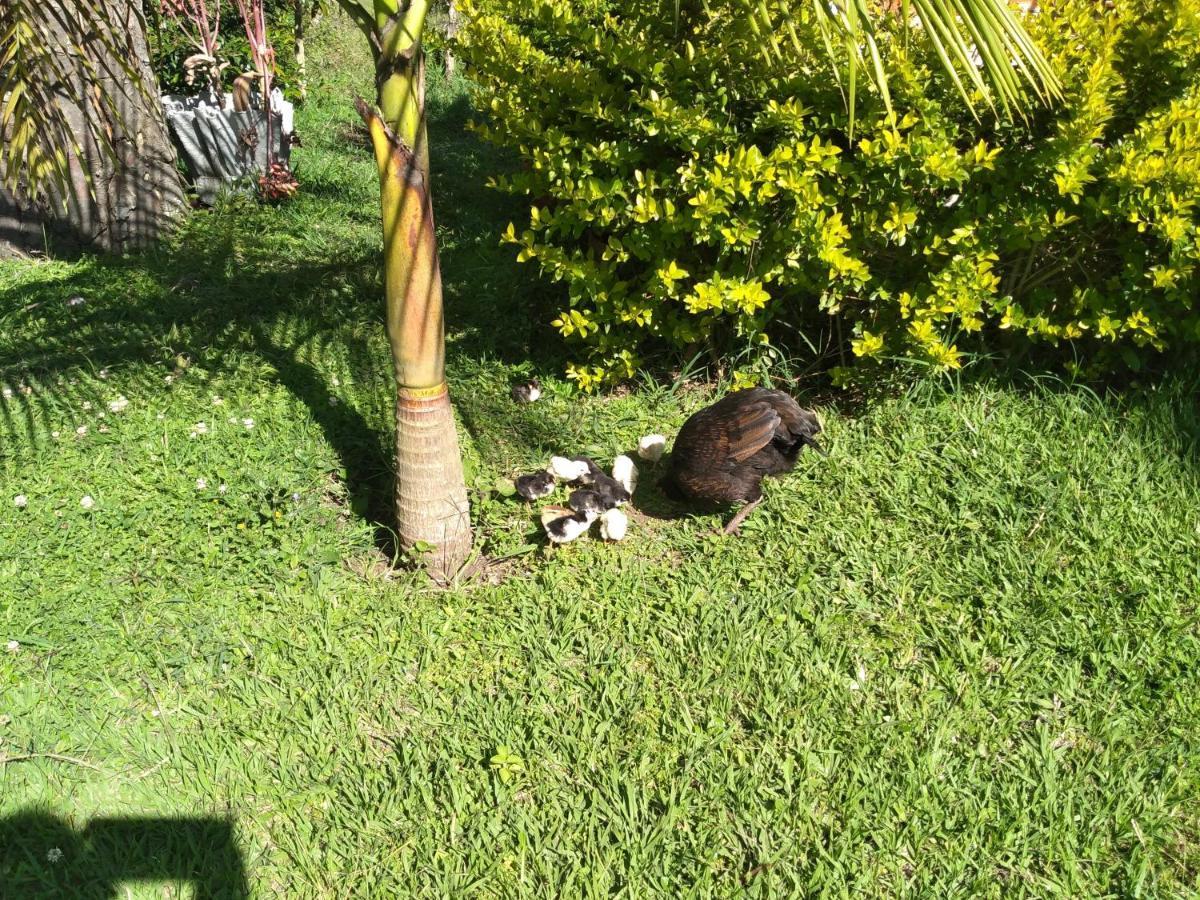 Cabana El Trebol San Agustín エクステリア 写真